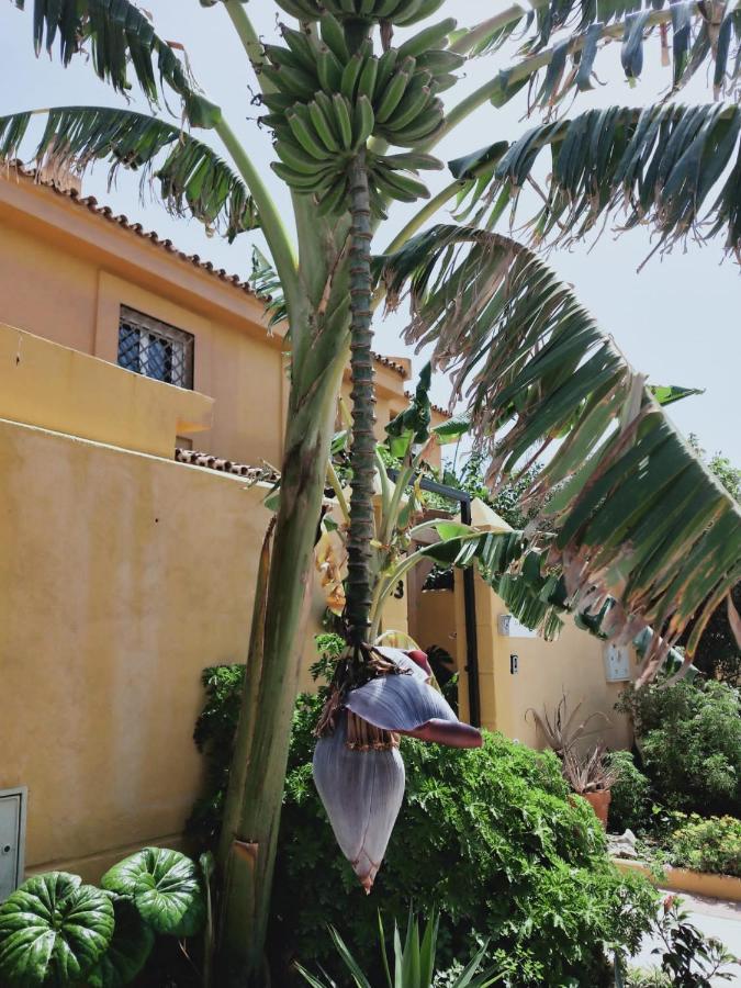 Dudi'S Peppers Apartment Malaga Luaran gambar